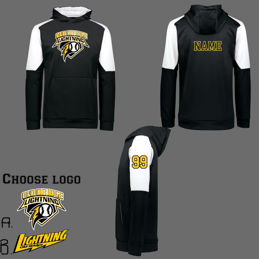 006 -OB - Holloway Performance Hooded Sweatshirt Color Block