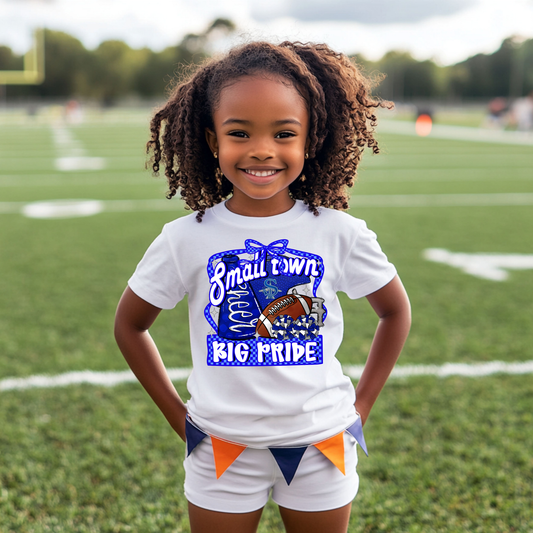 Volleyball 038 BOMBERS - Small Town Big Pride Tee shirt